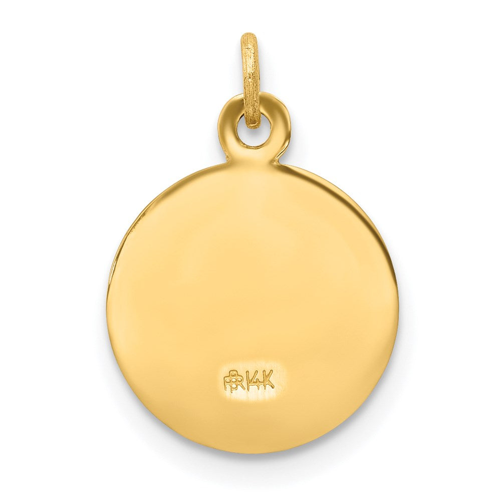 FJC Finejewelers 14 kt Yellow Gold First Communion Medal Charm 16 x 12 mm