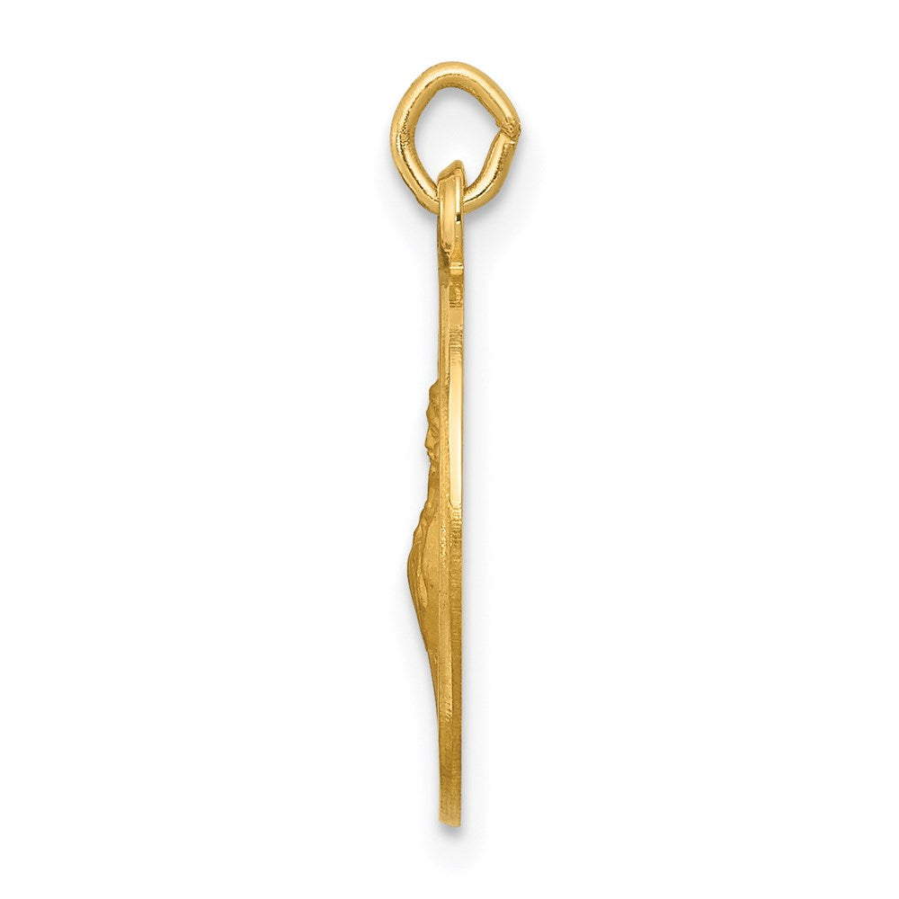 FJC Finejewelers 14 kt Yellow Gold Saint Francis of Assisi Medal Charm 23 x 15 mm