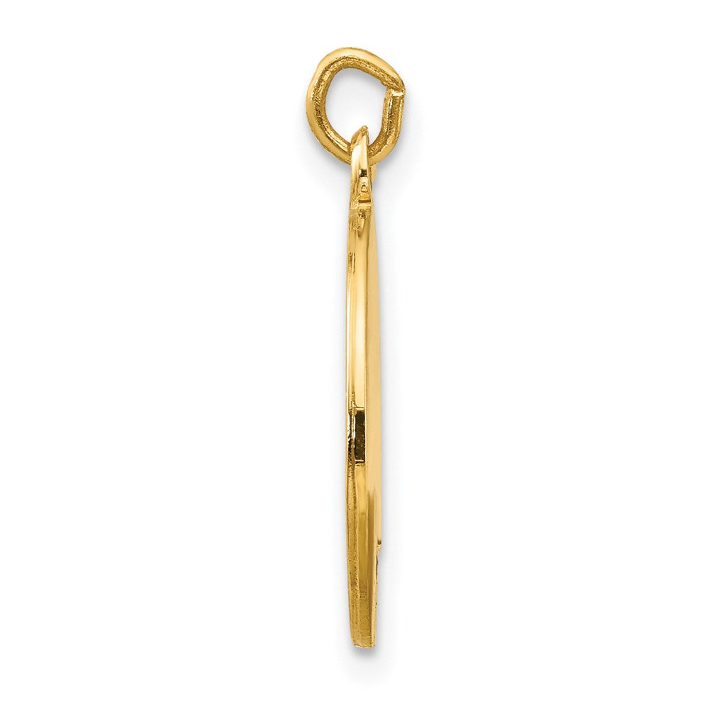 FJC Finejewelers 14 kt Yellow Gold Saint Luke Medal Charm 19 x 15 mm