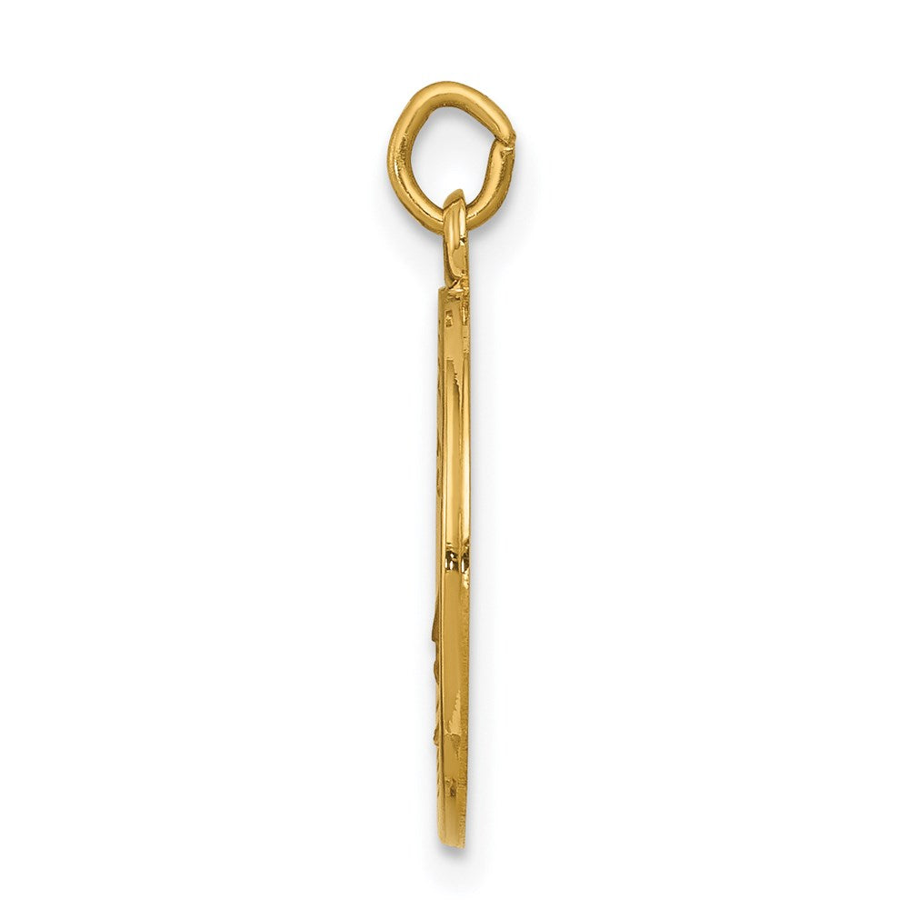 FJC Finejewelers 14 kt Yellow Gold Saint Elizabeth Seton Medal Charm 20 x 15 mm