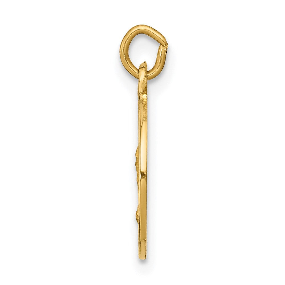 FJC Finejewelers 14 kt Yellow Gold Saint Andrew Medal Charm 17 x 12 mm