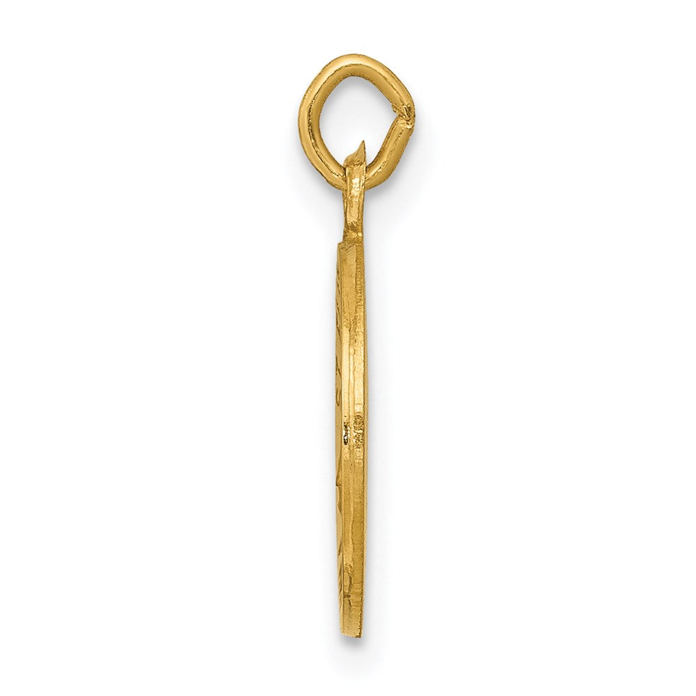 FJC Finejewelers 14 kt Yellow Gold Saint Elizabeth Seton Medal Charm 17 x 12 mm