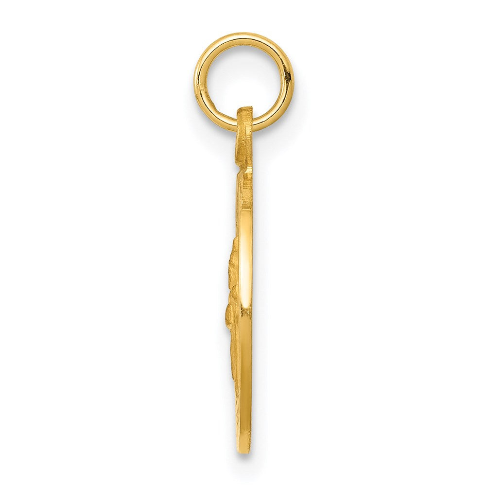 FJC Finejewelers 14 kt Yellow Gold Saint Patrick Medal Charm 19 x 12 mm