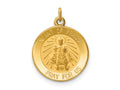 FJC Finejewelers 14 kt Yellow Gold Infant of Prague Medal Charm 16 x 12 mm