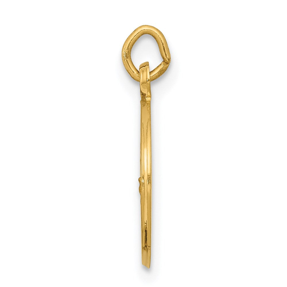 FJC Finejewelers 14 kt Yellow Gold Our Lady of Lourdes Medal Charm 16 x 12 mm