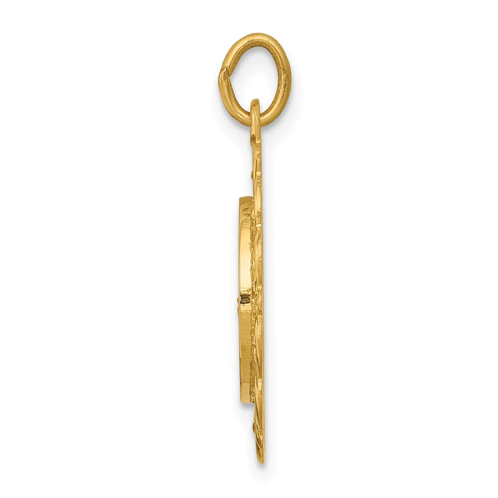 FJC Finejewelers 14 kt Yellow Gold Our Lady of Lourdes Medal Charm 24 x 19 mm