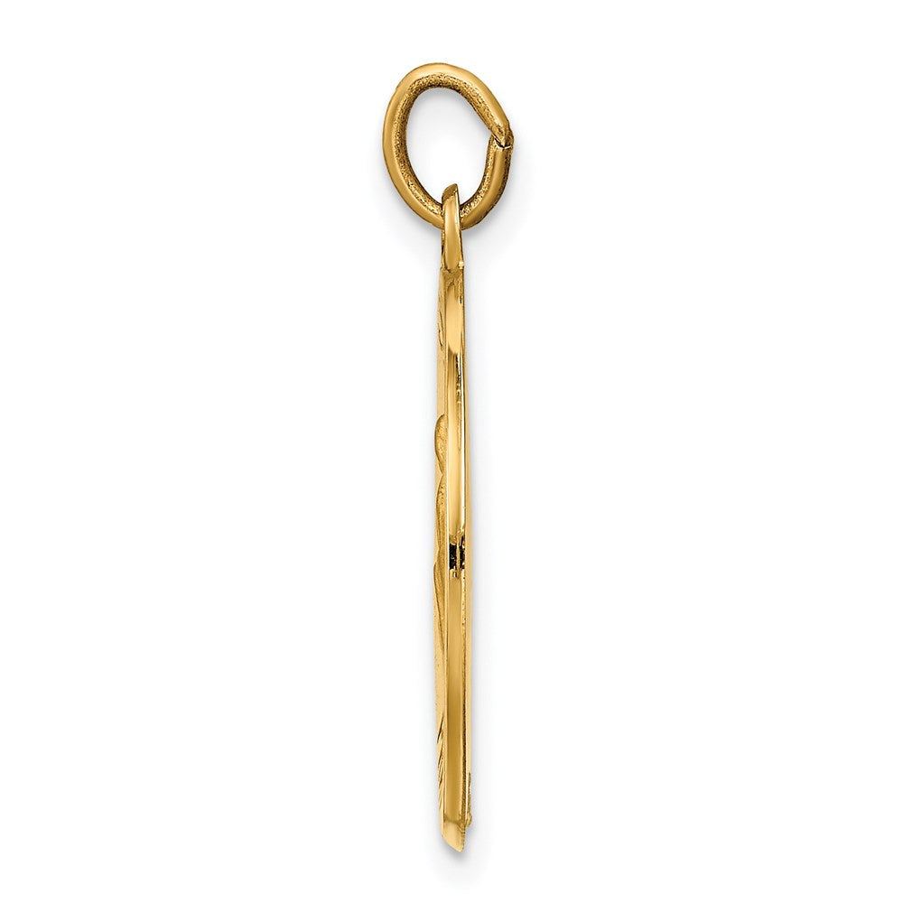 FJC Finejewelers 14 kt Yellow Gold Saint Luke Medal Charm 23 x 18 mm