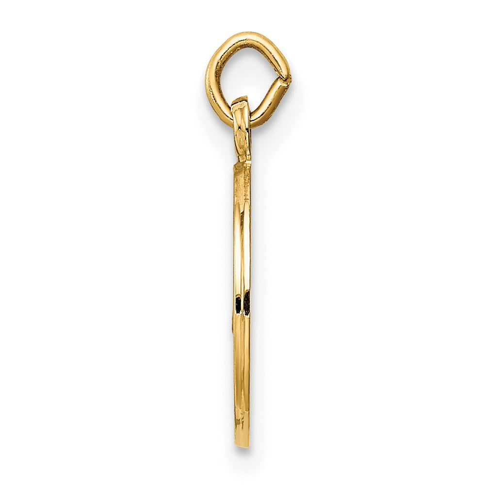FJC Finejewelers 14 kt Yellow Gold Caridad Del Cobre Medal Charm 16 x 11 mm