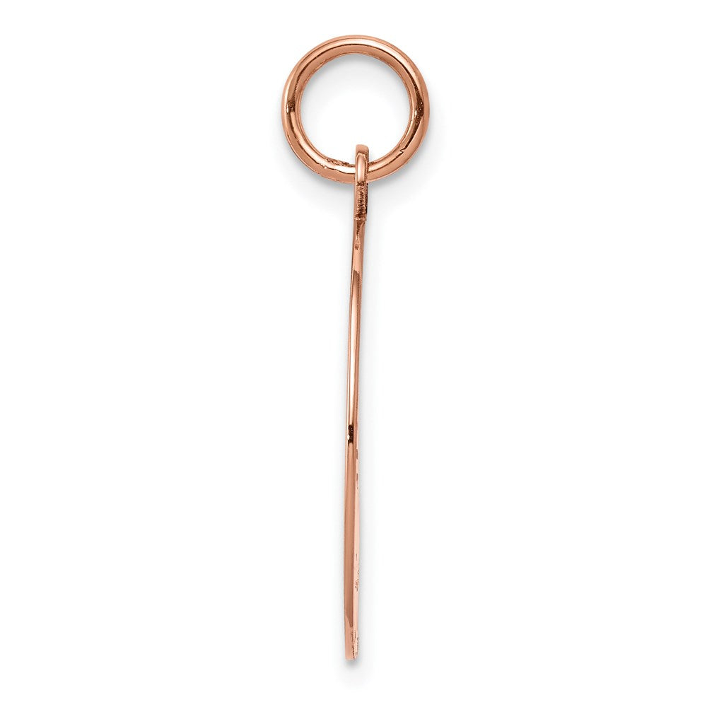 FJC Finejewelers 14 kt Rose Gold Personalized Plain .018 Gauge Circular Engraveable Disc Charm 25 mm x 18 mm