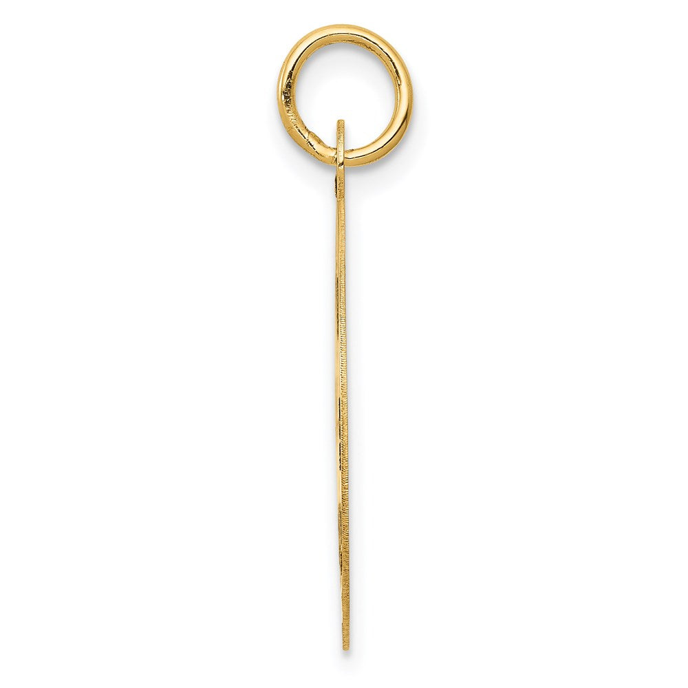 FJC Finejewelers 14 kt Yellow Gold Medium PARAMEDIC Medical Charm 26 x 19 mm