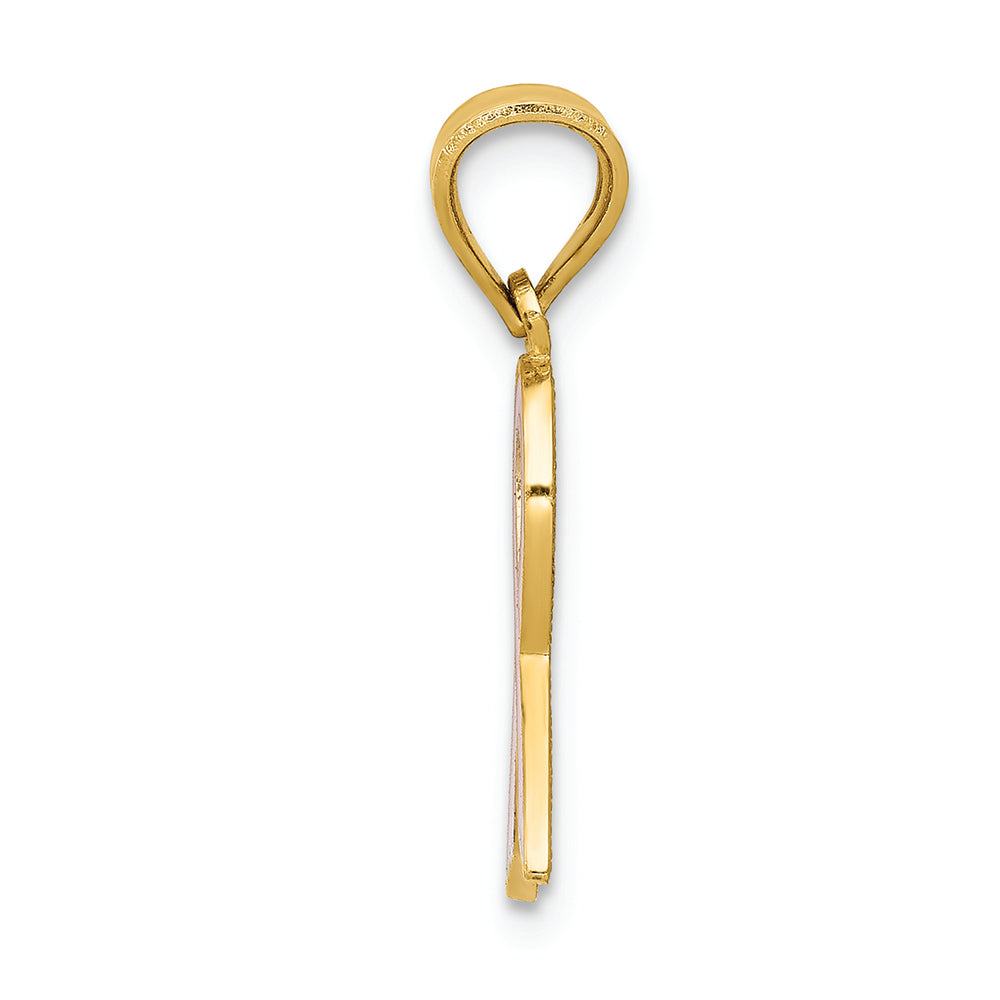 FJC Finejewelers 14k Yellow Gold Small Enameled Awareness Ribbon Charm