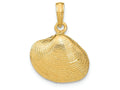FJC Finejewelers 14k Yellow Gold Medium Clam Shell Charm