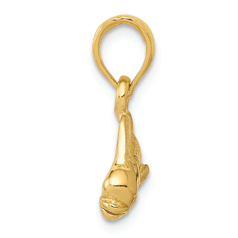 FJC Finejewelers 14k Yellow Gold Mahi Mahi Fish Charm