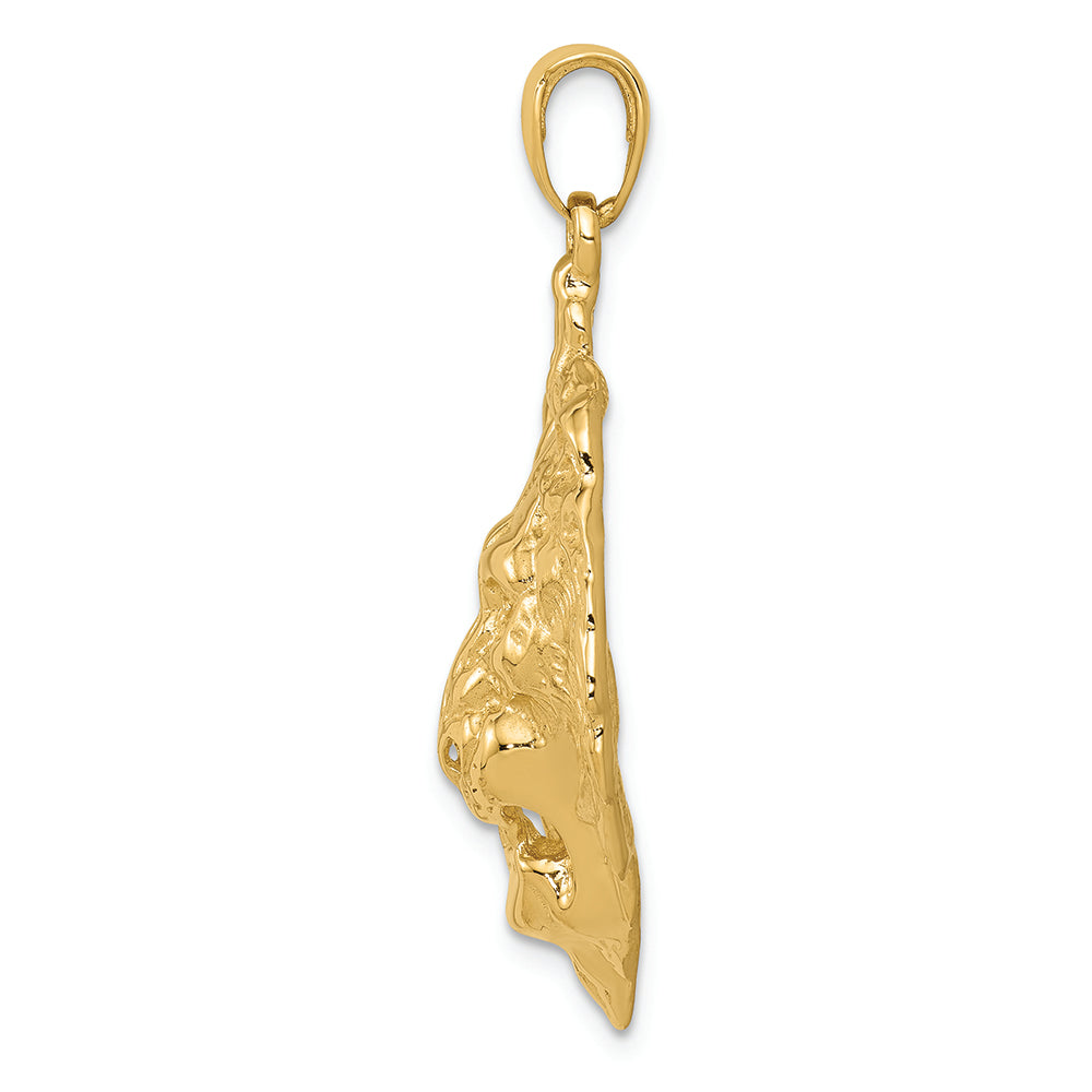 FJC Finejewelers 14k Yellow Gold Lion Charm
