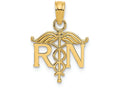 FJC Finejewelers 14k Yellow Gold Registered Nurse Charm