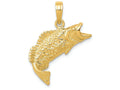 FJC Finejewelers 14k Yellow Gold Polished Textured Bass Fish Charm
