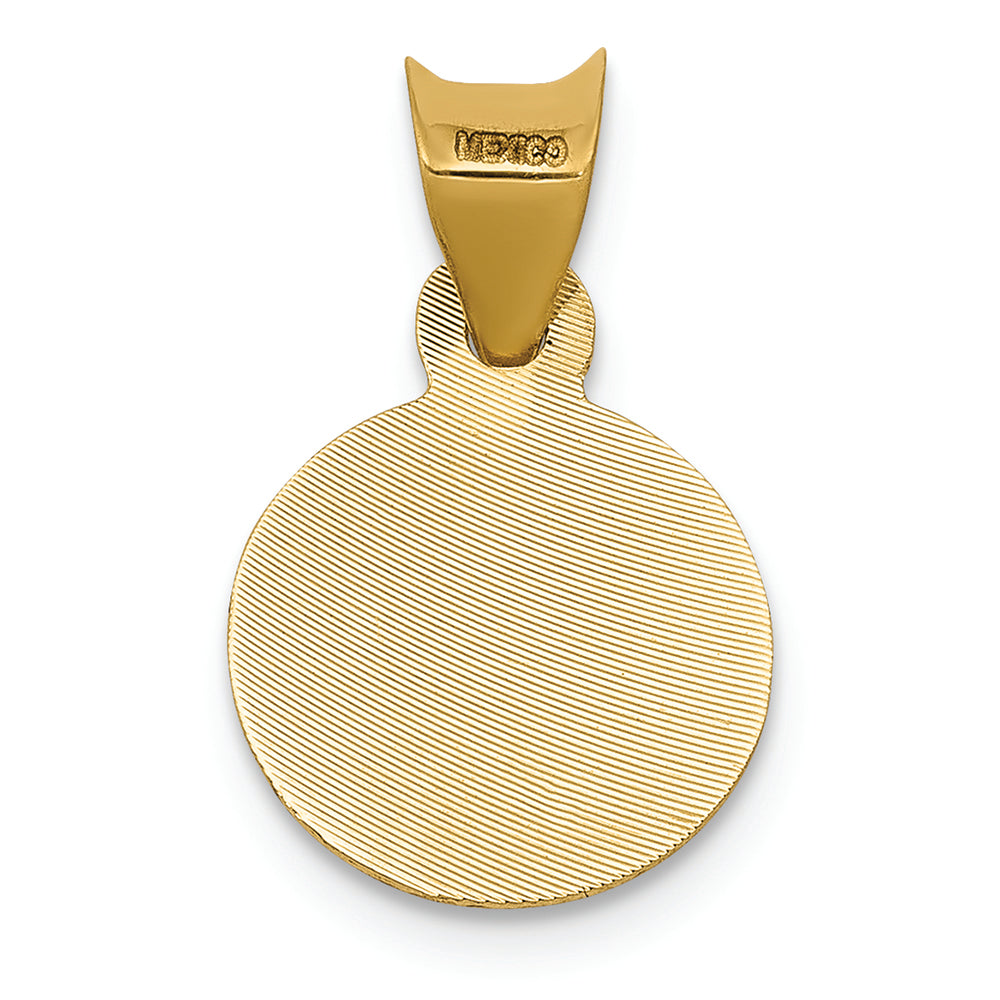 FJC Finejewelers 14k Yellow Gold with Rhodium Polished Bright Cut Lady Of Guadalupe Circle Charm