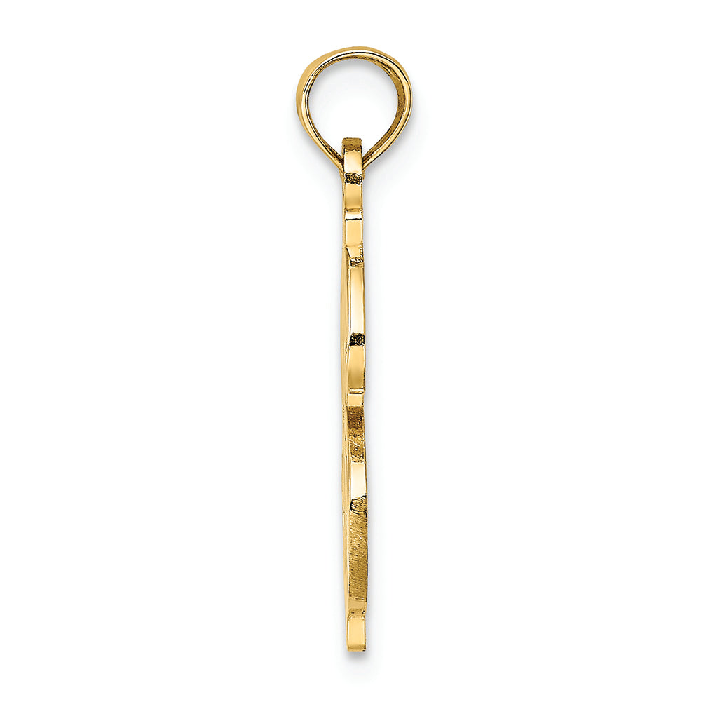 FJC Finejewelers 14k Yellow Gold Dollar Signtextured Charm