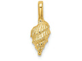 FJC Finejewelers 14k Yellow Gold Mini Conch Shell with Fixed Bail Charm