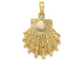 FJC Finejewelers 14k Yellow Gold Lion's Paw Shell Charm