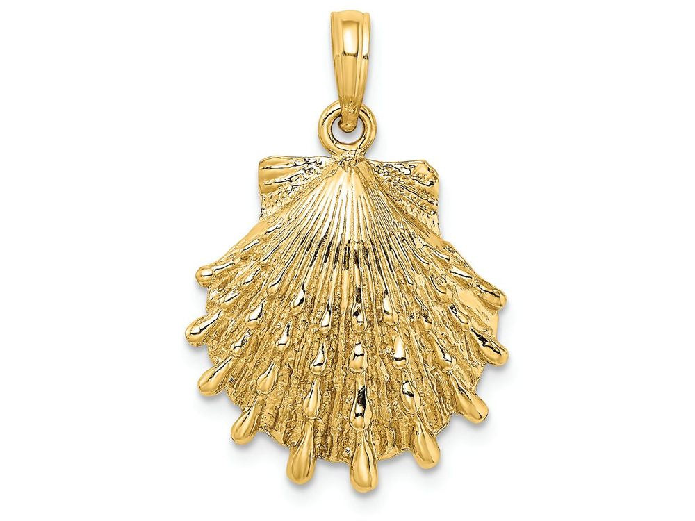 FJC Finejewelers 14k Yellow Gold Lion's Paw Shell Charm