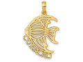 FJC Finejewelers 14k Yellow Gold Curacao Under Angelfish Charm