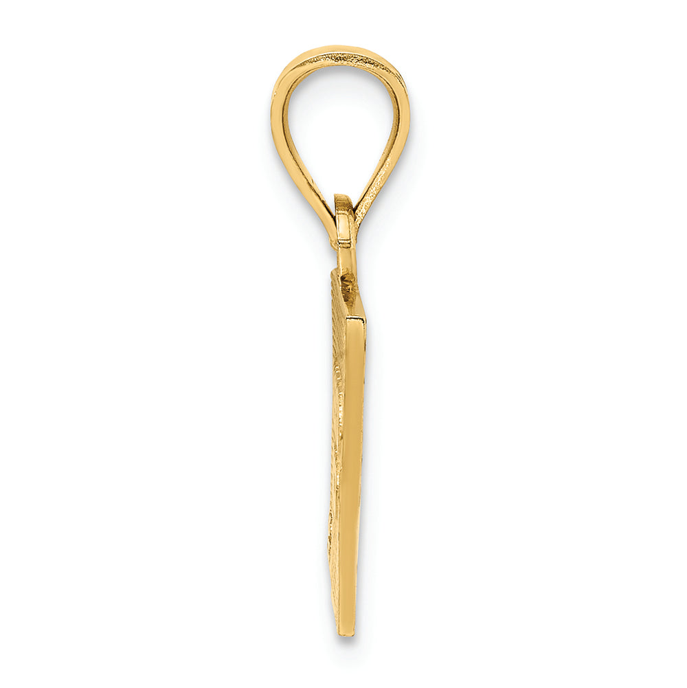 FJC Finejewelers 14k Yellow Gold Solid Enameled Puerto Rico Flag Charm