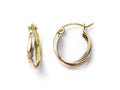 FJC Finejewelers 10k Tri-color Polished Hinged Hoop Earrings