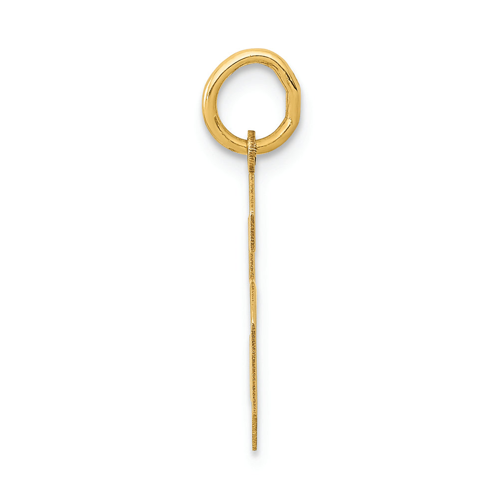 FJC Finejewelers 14k Yellow Gold Medium Polished Number 6 Charm