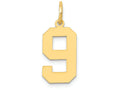 FJC Finejewelers 14k Yellow Gold Medium Polished Number 9 Charm