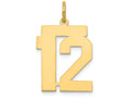 FJC Finejewelers 14k Yellow Gold Medium Polished Number 12 Charm