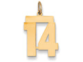 FJC Finejewelers 14k Yellow Gold Medium Polished Number 14 Charm