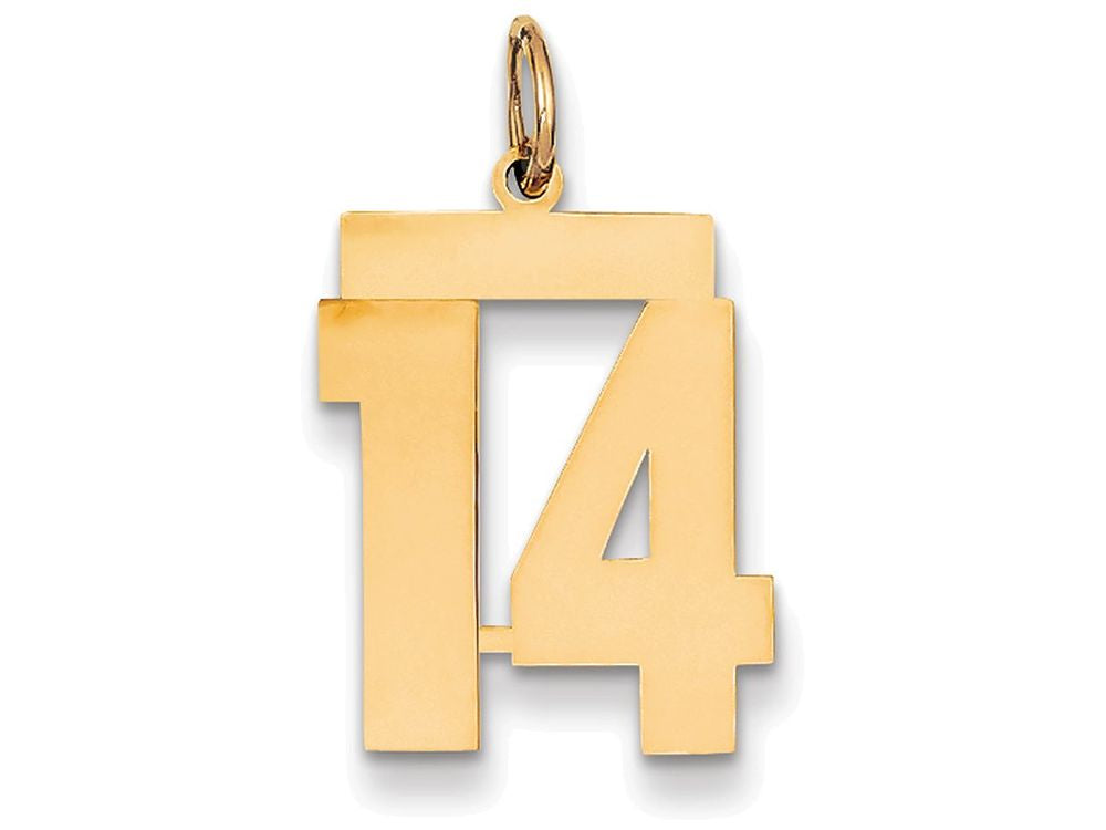 FJC Finejewelers 14k Yellow Gold Medium Polished Number 14 Charm