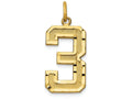 FJC Finejewelers 14k Yellow Gold Casted Large Bright Cut Number 3 Charm