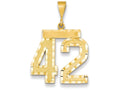 FJC Finejewelers 14k Yellow Gold Large Bright Cut Number 42 Charm