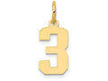 FJC Finejewelers 14k Yellow Gold Small Polished Number 3 Charm
