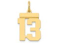 FJC Finejewelers 14k Yellow Gold Small Polished Number 13 Charm
