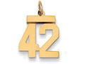 FJC Finejewelers 14k Yellow Gold Small Polished Number 42 Charm