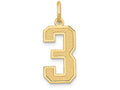 FJC Finejewelers 14k Yellow Gold Medium Satin Number 3 Charm