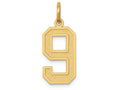 FJC Finejewelers 14k Yellow Gold Medium Satin Number 9 Charm