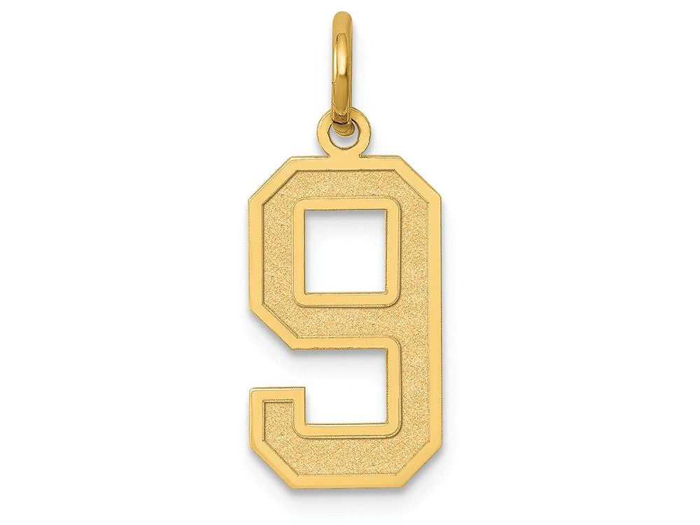 FJC Finejewelers 14k Yellow Gold Medium Satin Number 9 Charm