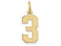 FJC Finejewelers 14k Yellow Gold Small Satin Number 3 Charm