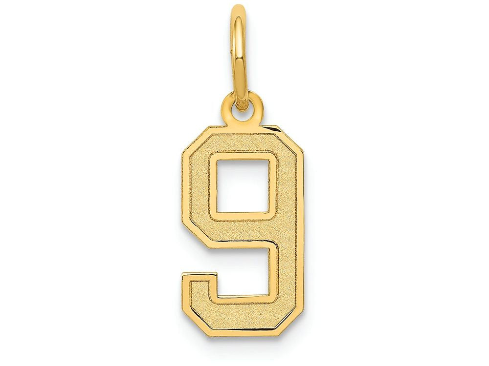 FJC Finejewelers 14k Yellow Gold Small Satin Number 9 Charm