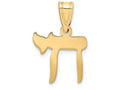 FJC Finejewelers 14k Yellow Gold Chai Charm 12 x 18mm