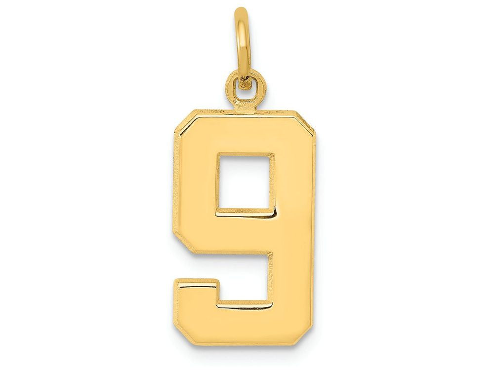 FJC Finejewelers 14k Yellow Gold Casted Medium Polished Number 9 Charm