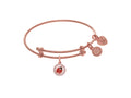 Brass With Pink Finish Enamel and Cubic Zirconia Lady Bug Charm Pink Angelica Collection Tween Bangle (Small)