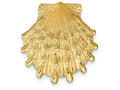 FJC Finejewelers 14k Yellow Gold Lion's Paw Shell Slide Charm