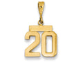 FJC Finejewelers 14k Yellow Gold Polished Small Number 20 Charm