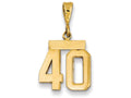FJC Finejewelers 14k Yellow Gold Small Polished Number 40 Charm