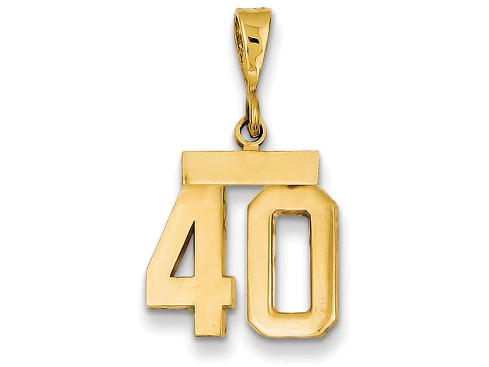 FJC Finejewelers 14k Yellow Gold Small Polished Number 40 Charm